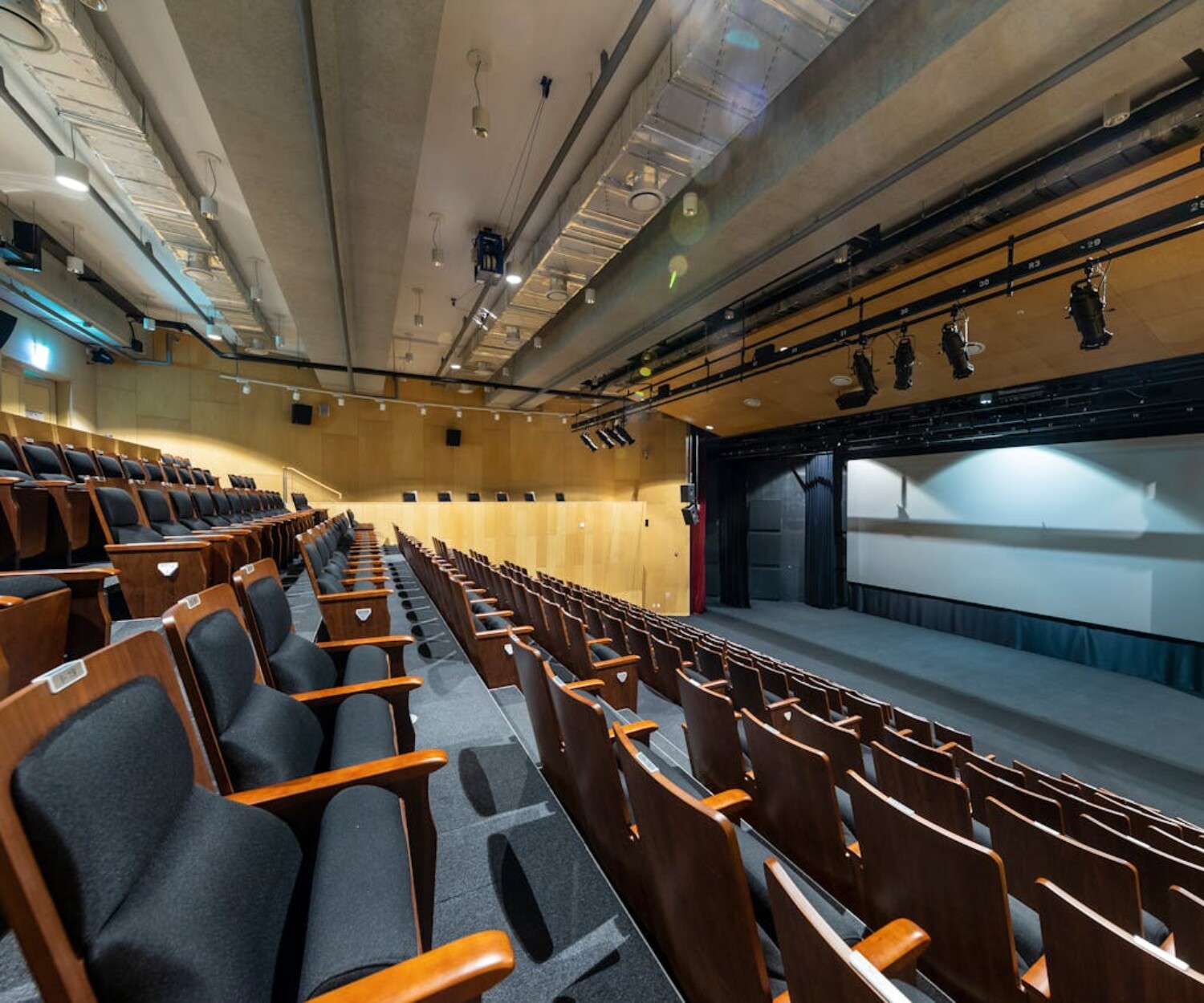 eğitim etkinlikleri