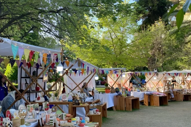 Festival Organizasyon